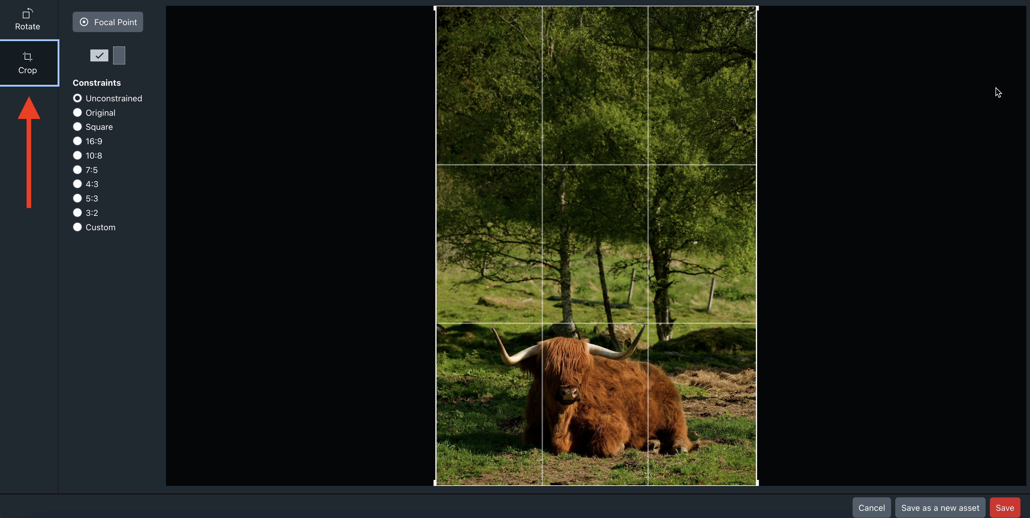 Image Editor with an arrow pointing toward the Crop tab button in the sidebar
