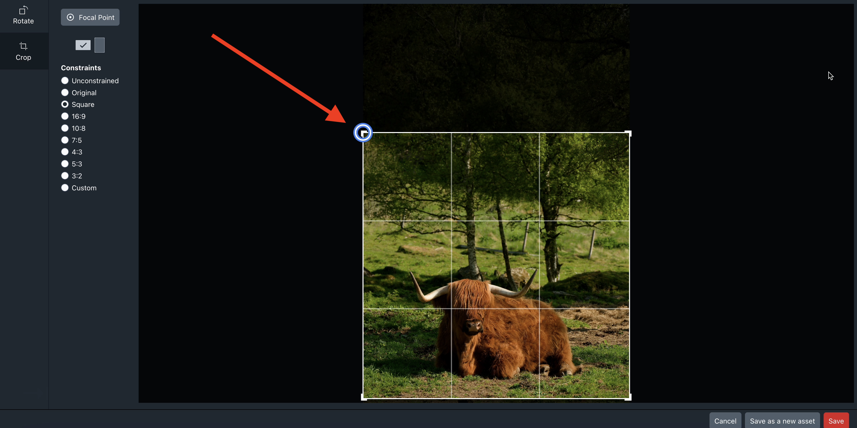 A visible focus outline is present over the top-left crop handle in the Image Editor