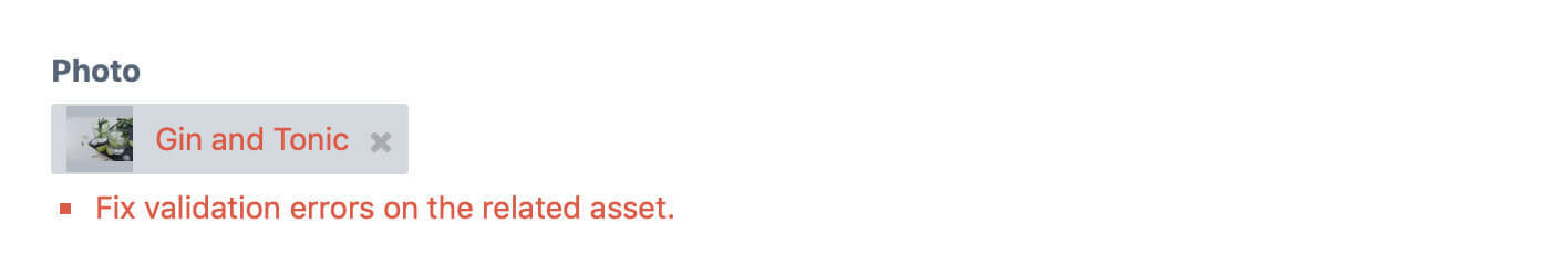 Asset Field Validation Error