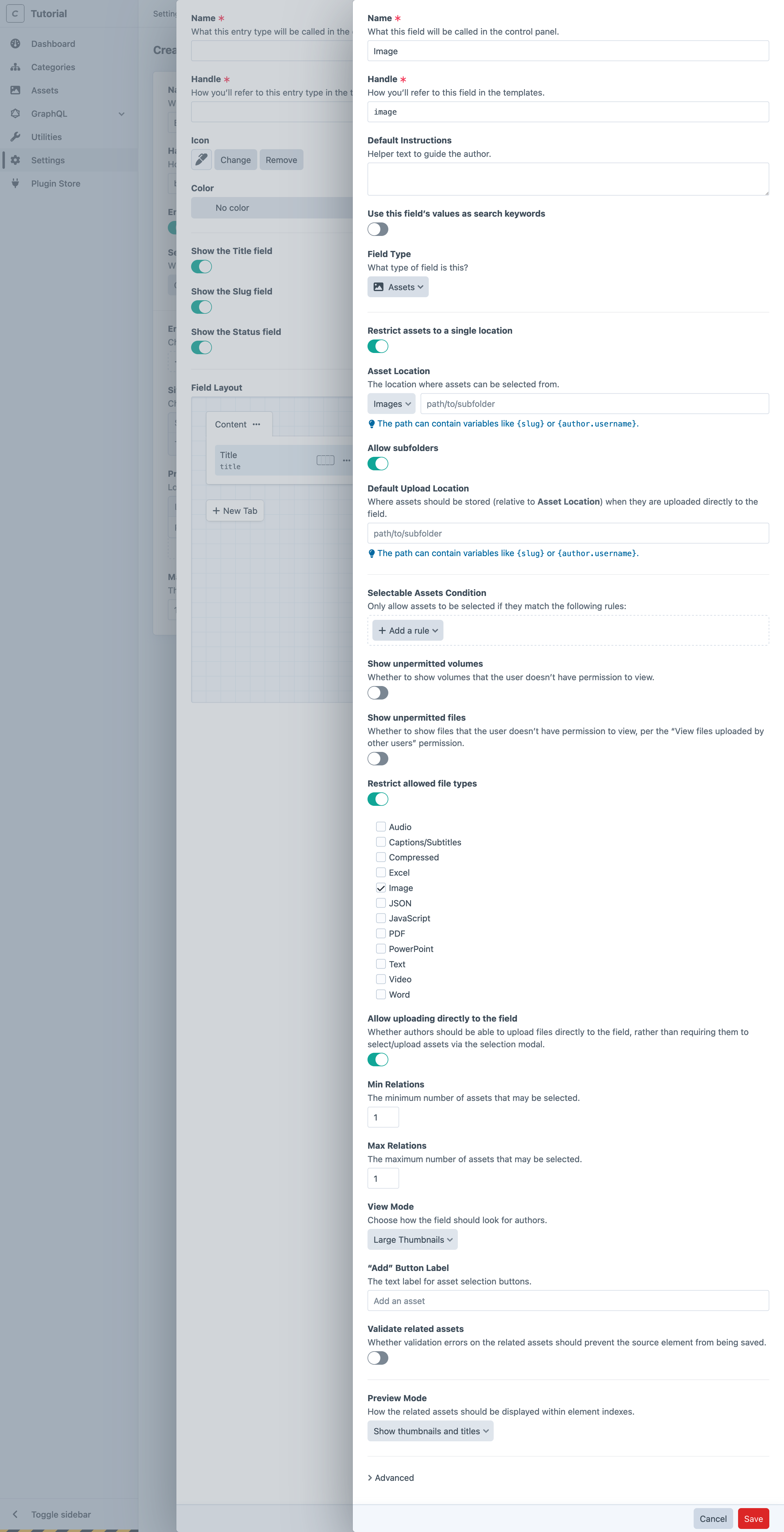 Screenshot of new asset field settings